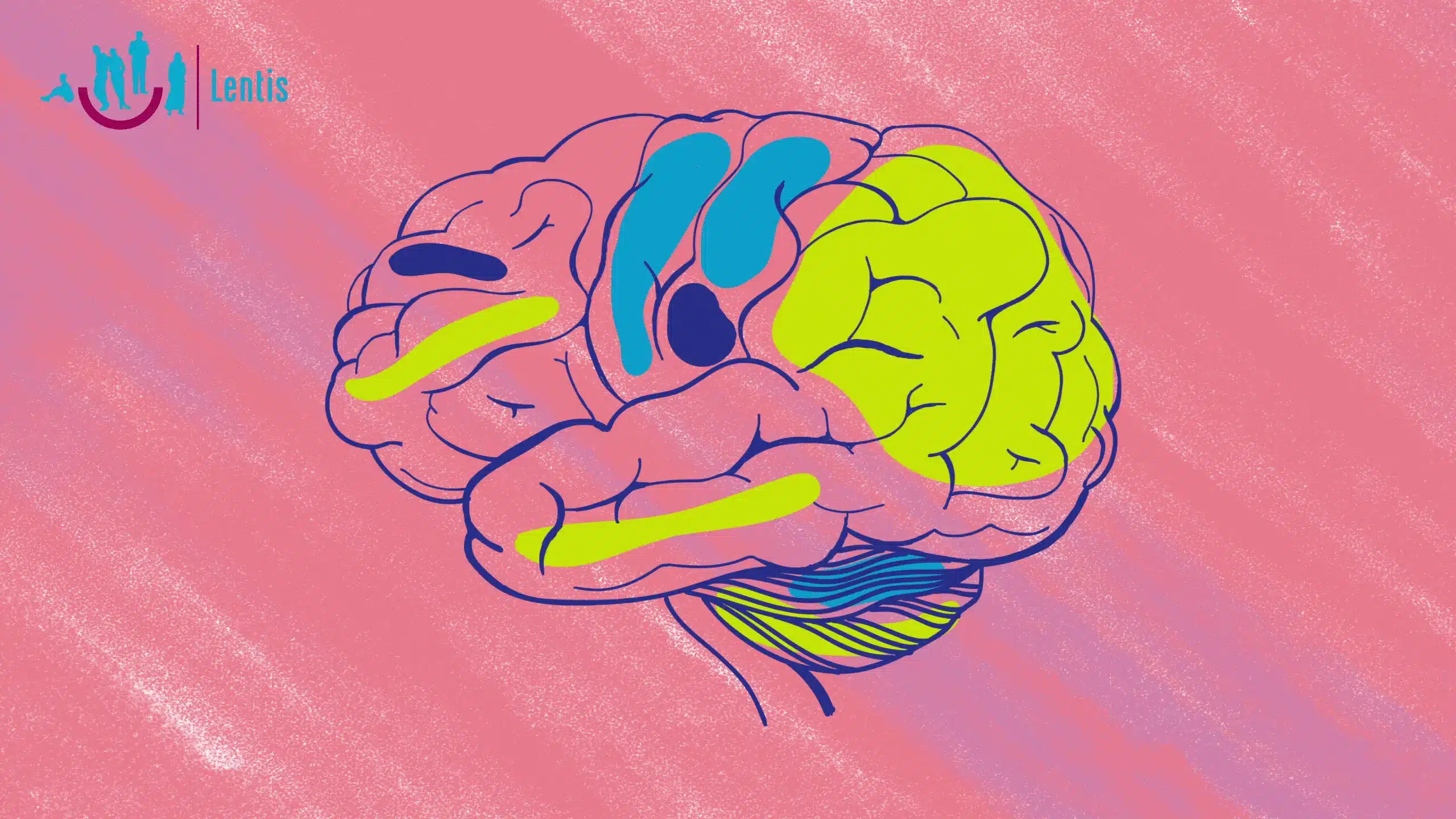 Een tekening van het menselijk brein met daarin gele en blauwe kleurvlakken op een roze achtergrond
