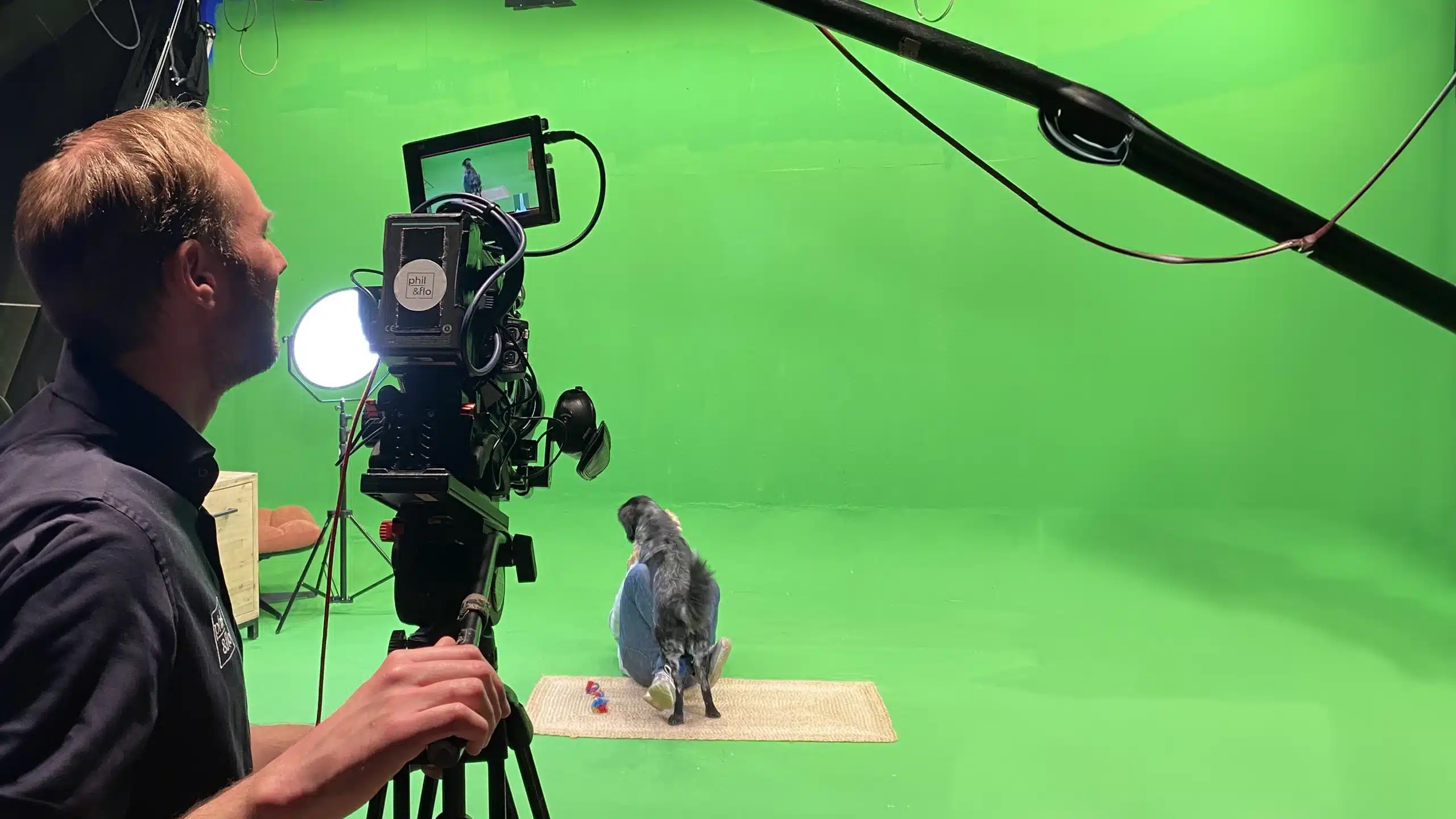 Een cameraman filmt met een professionele cameraman een man die vrolijk wordt belaagd door een zwarte hond